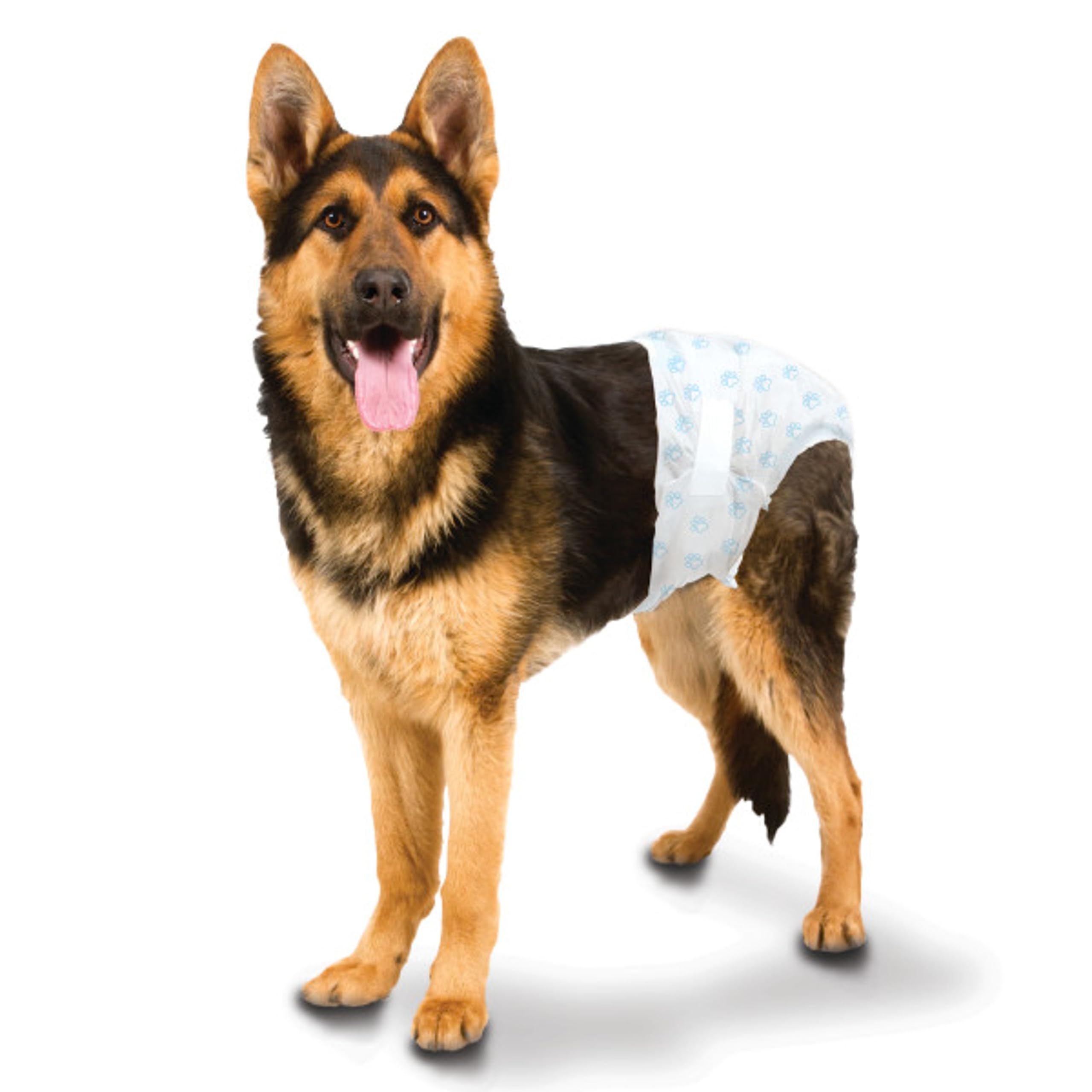 Four Paws Wee-Wee large-size diaper fits dogs over 19 inches.