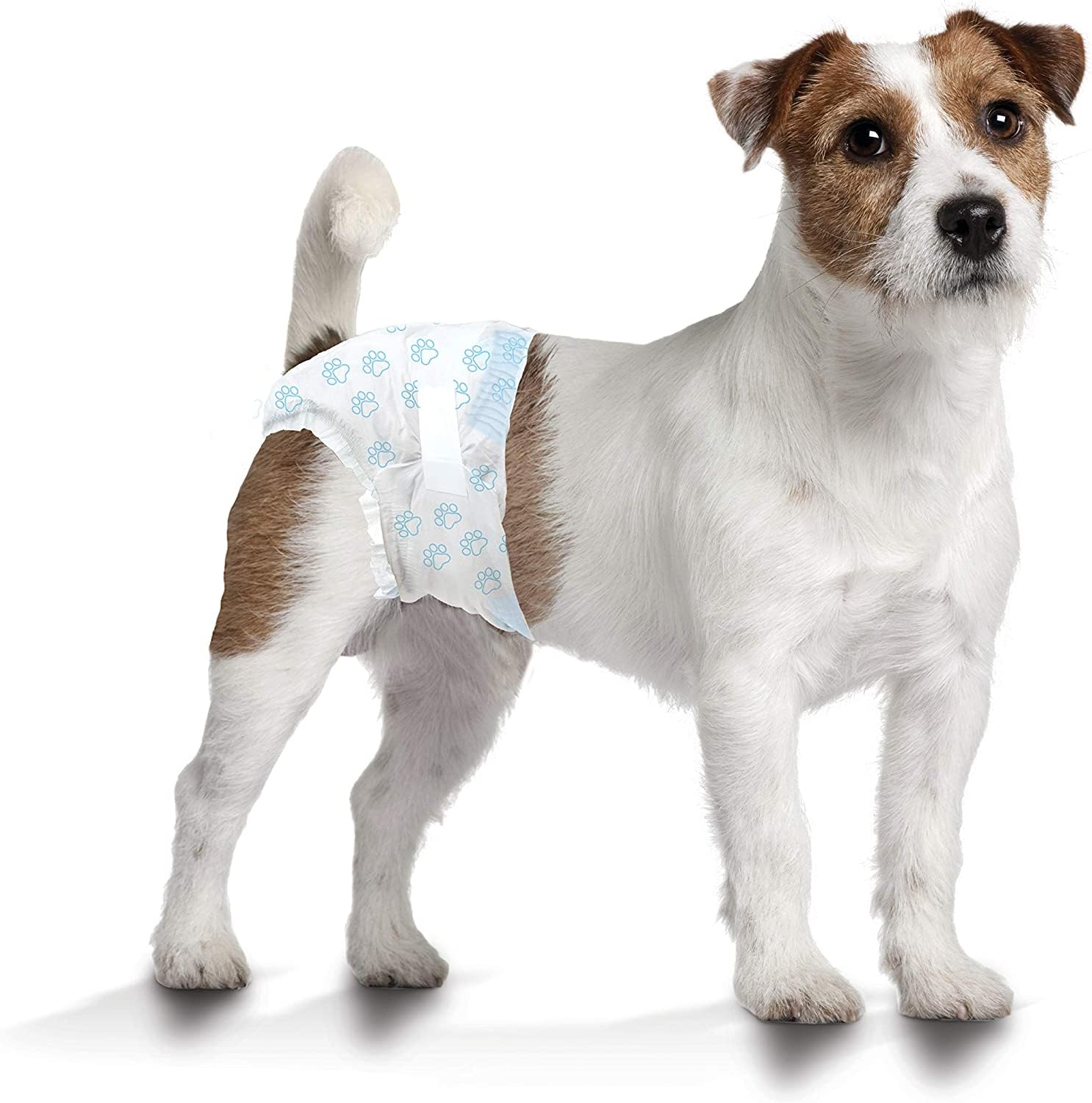 Four Paws Wee-Wee double-stitched leak-proof design prevents leaks during routine wear