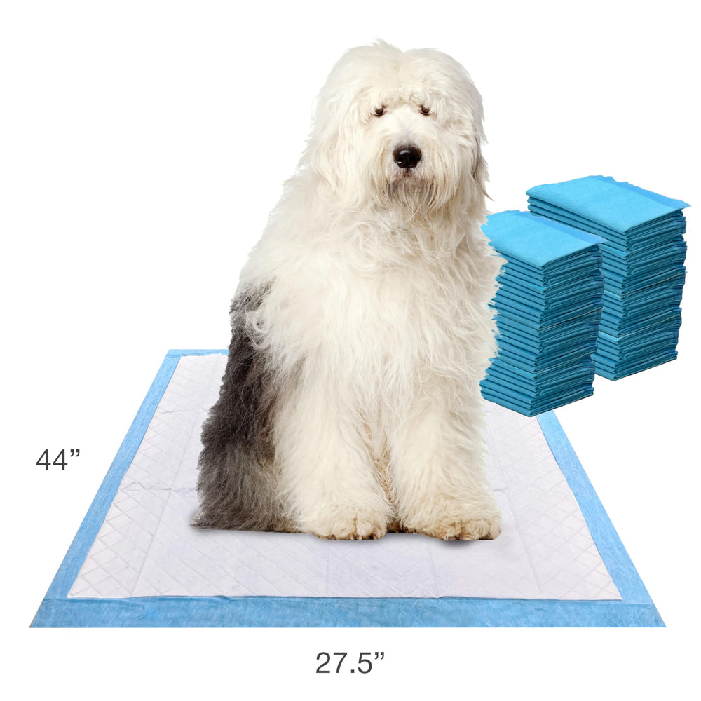 Four Paws Wee-Wee giant pad with 6-layer leak-proof design
