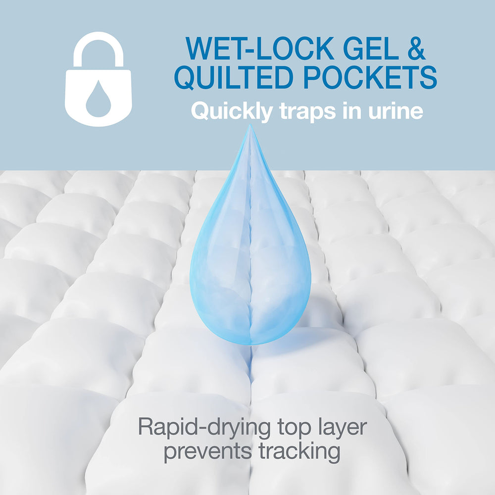 Four Paws Wee-Wee rapid-drying top layer keeps paws clean.