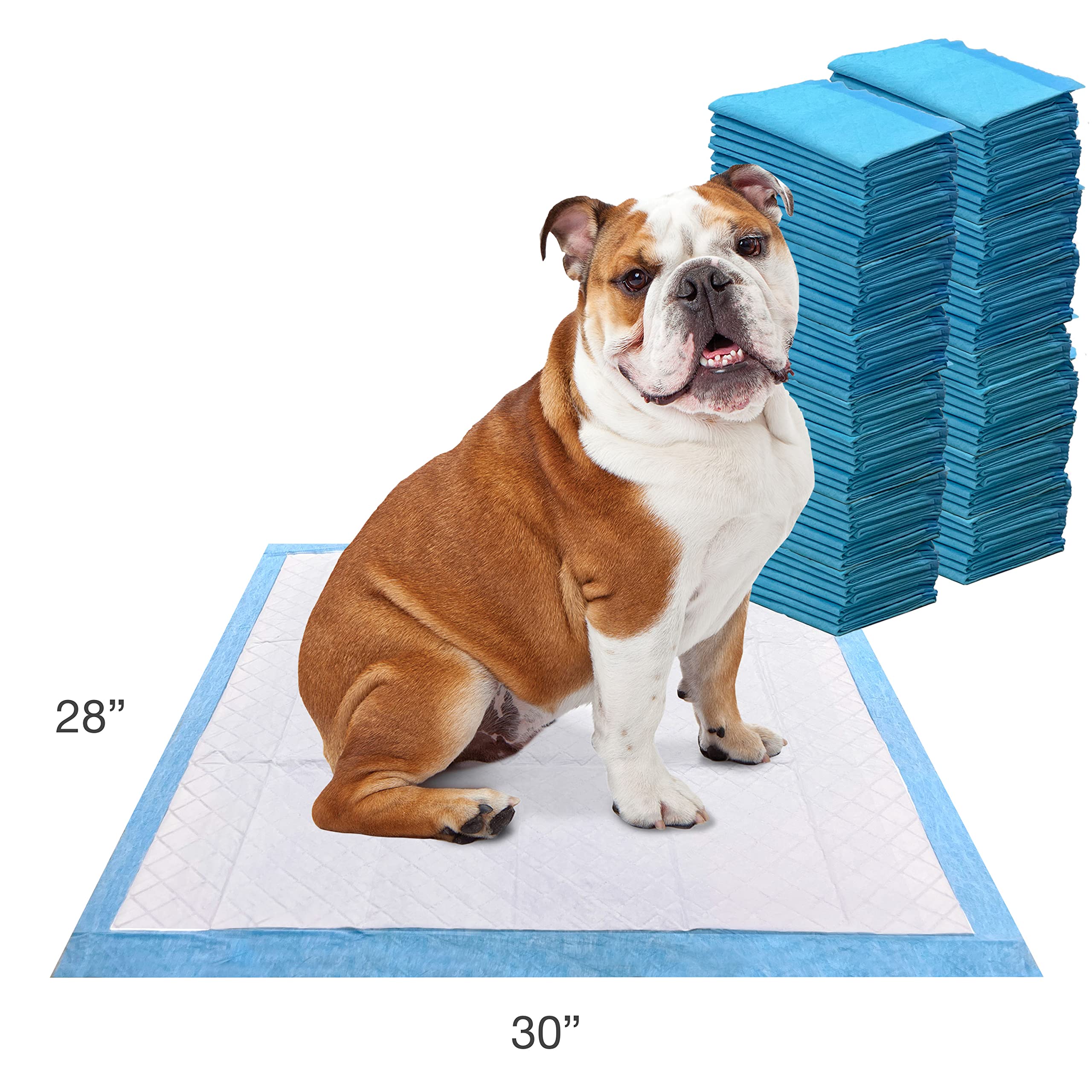 Four Paws Wee-Wee Odor Control compact packaging for eco-friendly waste reduction