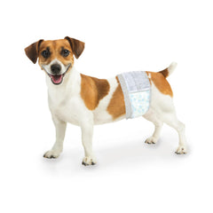 Four Paws Wee-Wee packaging for small dogs, ready-to-use potty training solution