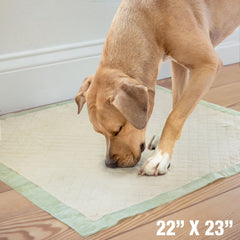 Four Paws Wee-Wee Pad bamboo material supports eco-friendly potty training.