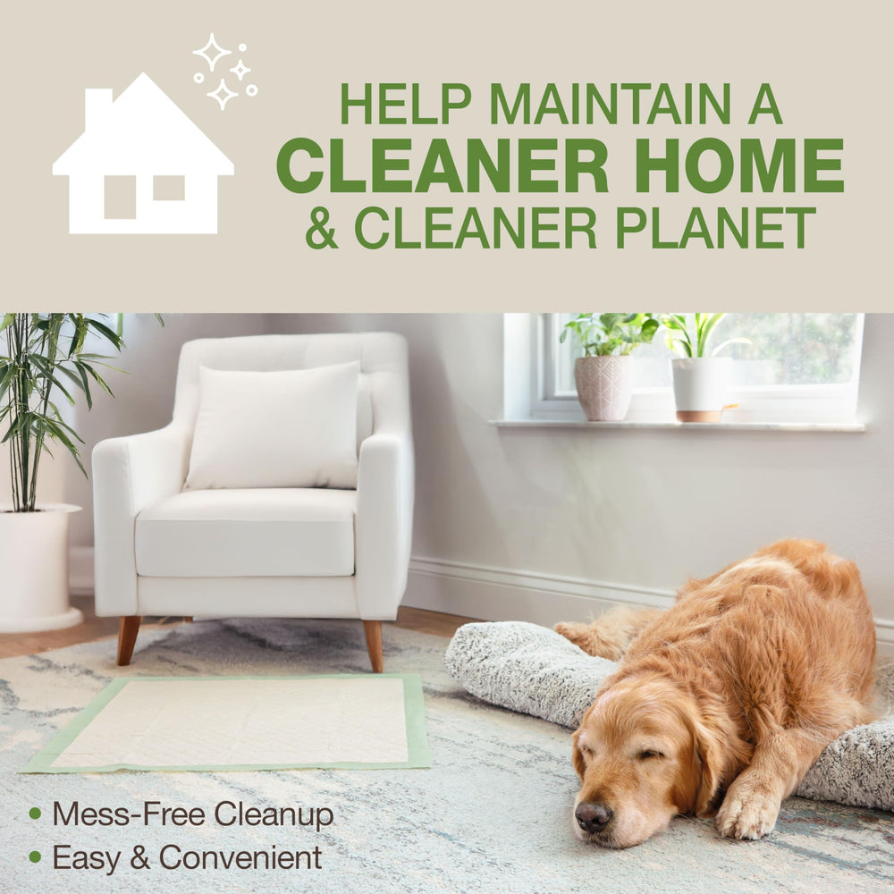 Four Paws Wee-Wee Pad bleach-free and dye-free layers improve safety.