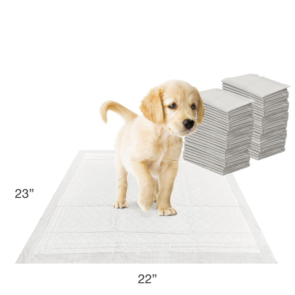 Four Paws Wee-Wee pad measures 22 by 23 inches.