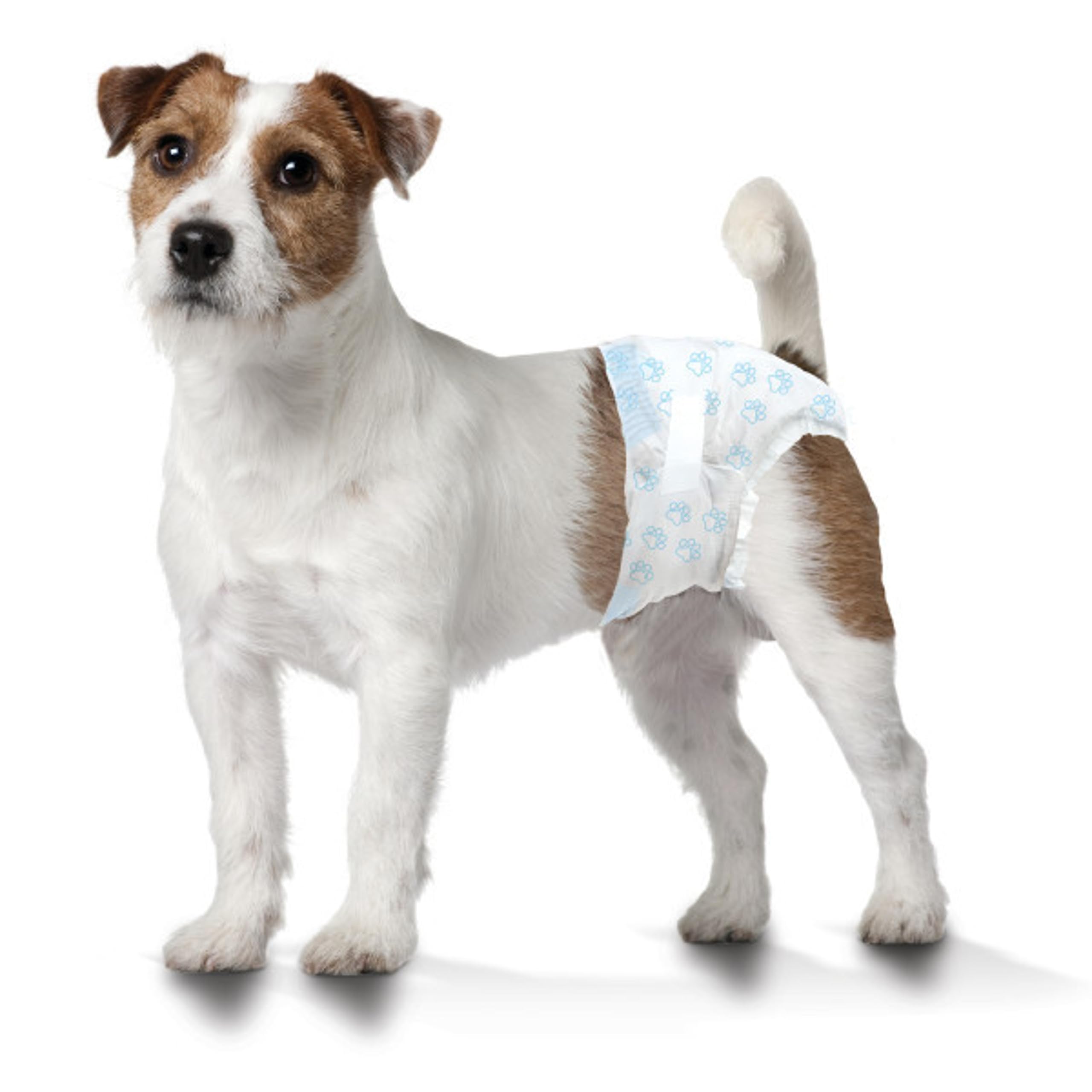Four Paws Wee-Wee is ideal for potty training and incontinence