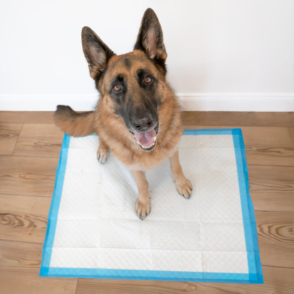 Four Paws Wee-Wee XL pad packaged in compact packaging to reduce waste