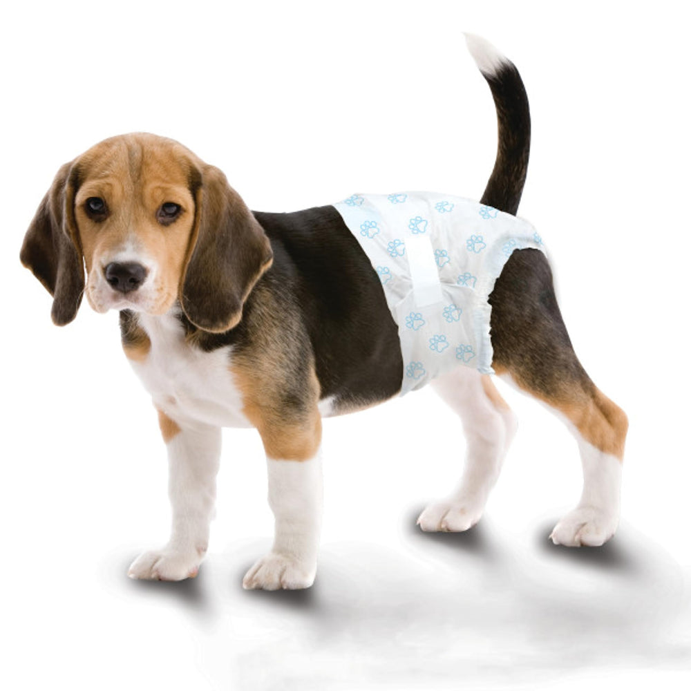 Four Paws Wee-Wee double-stitched flex-fit diaper supports active dogs.
