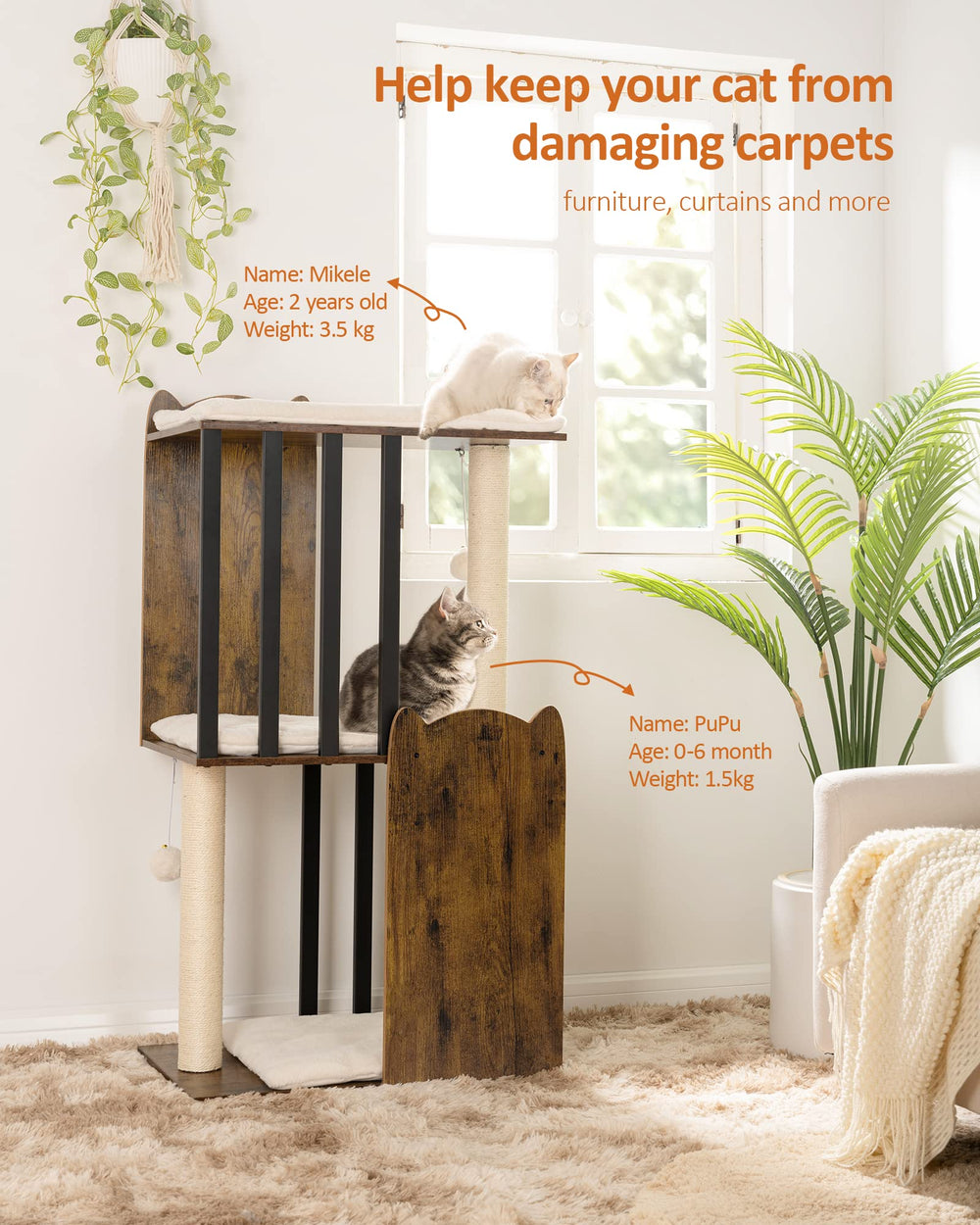 FourFurPets cat tree platform close-up showing plush cushion for cozy resting