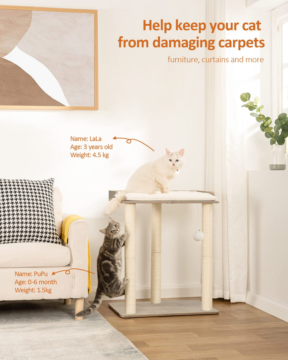 Three full-length sisal posts encourage scratching and play while protecting furniture.