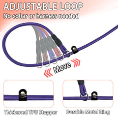 FOVRLZSE blue nylon dog leash five-pack easy identification during vet visits