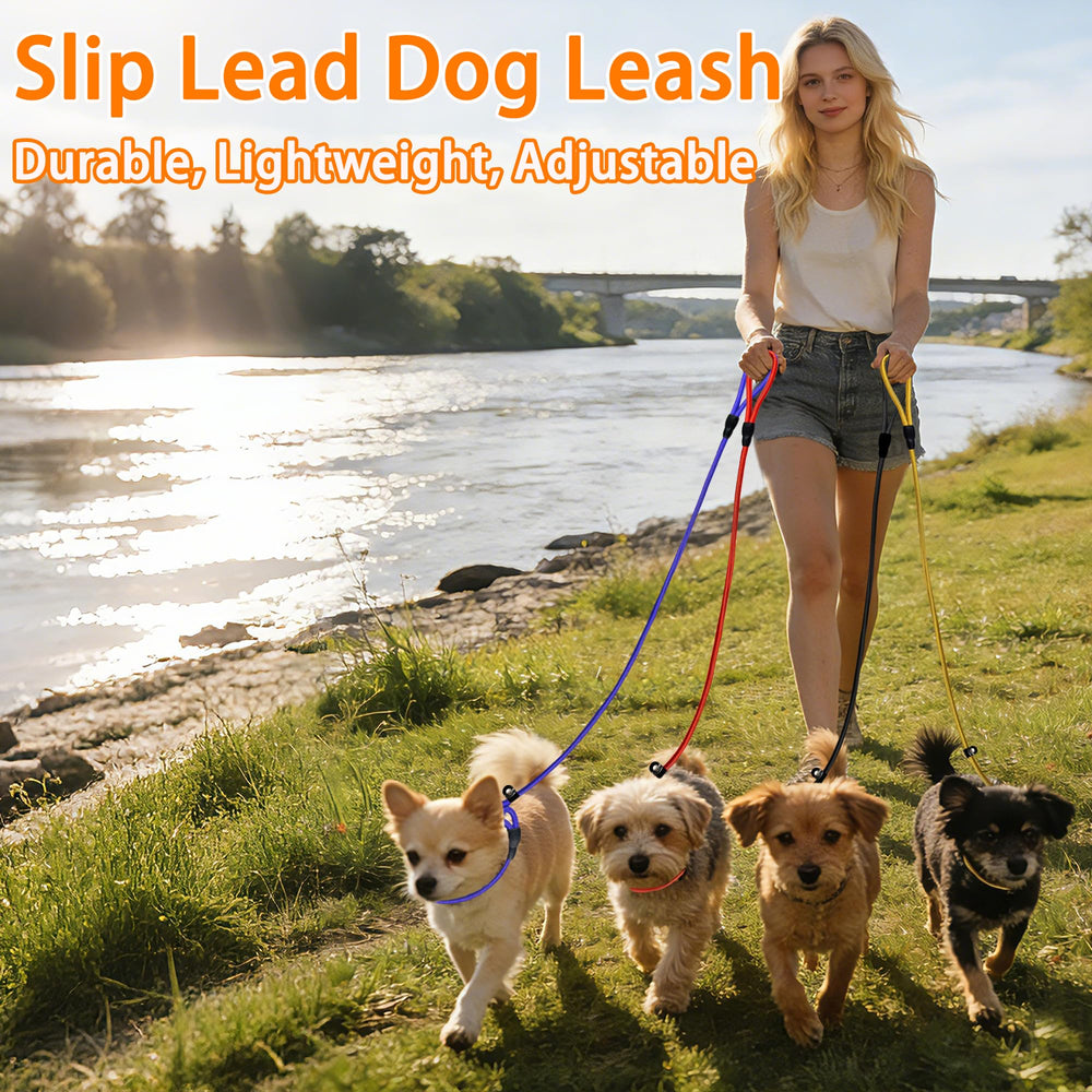 FOVRLZSE easy-on, easy-off design enhances setup during leash training