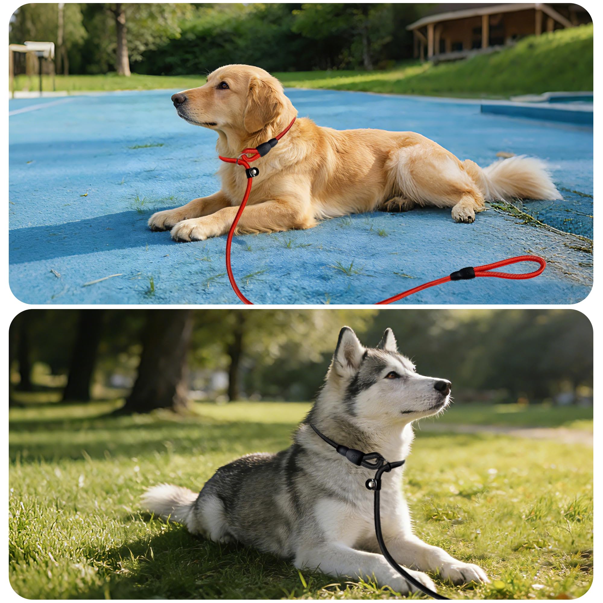 FOVRLZSE slip lead versatility for car, door, or outdoor use
