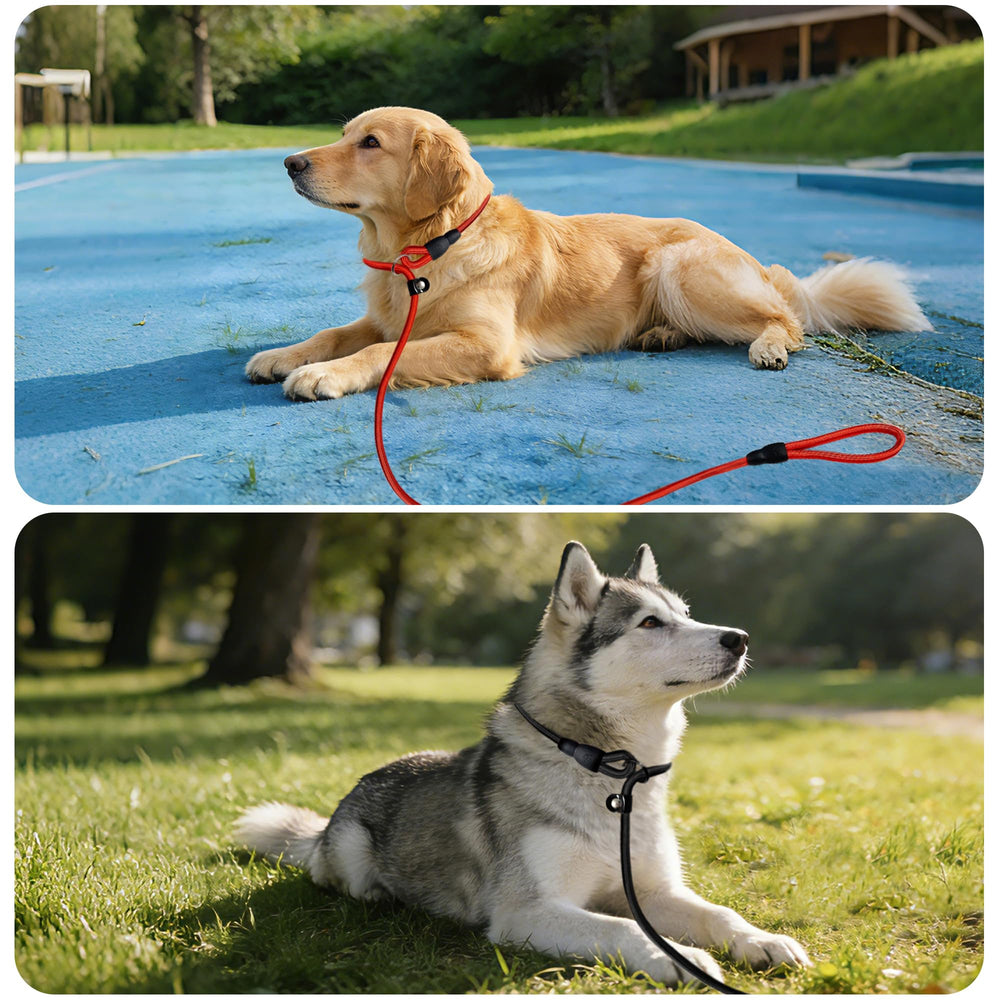 FOVRLZSE slip lead versatility for car, door, or outdoor use