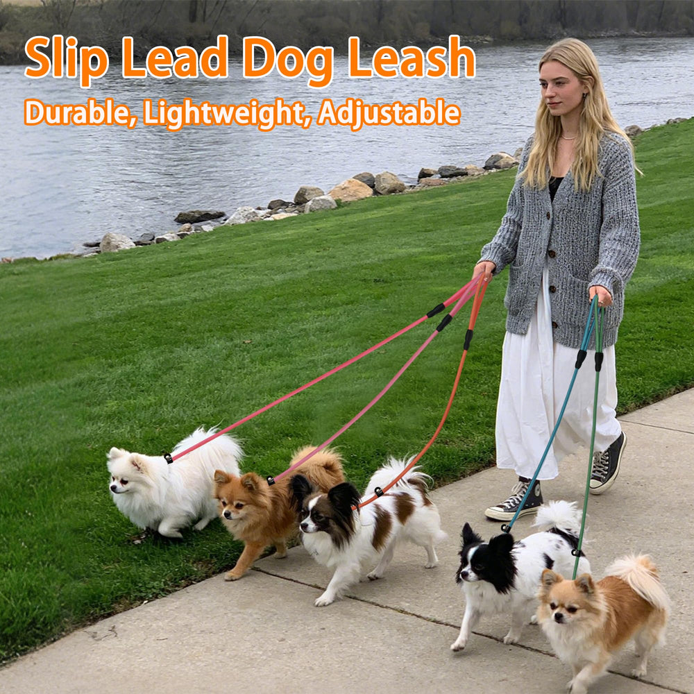 Ideal for puppy training and teaching leash manners without harsh tools.