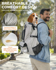 FoxFocus adjustable straps, quick-fit system for personalized comfort.