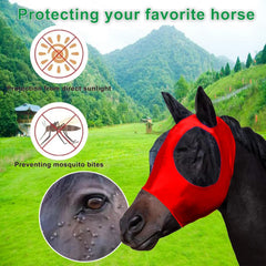 FOXLVDA elastic strap design ensures secure fit around the horse