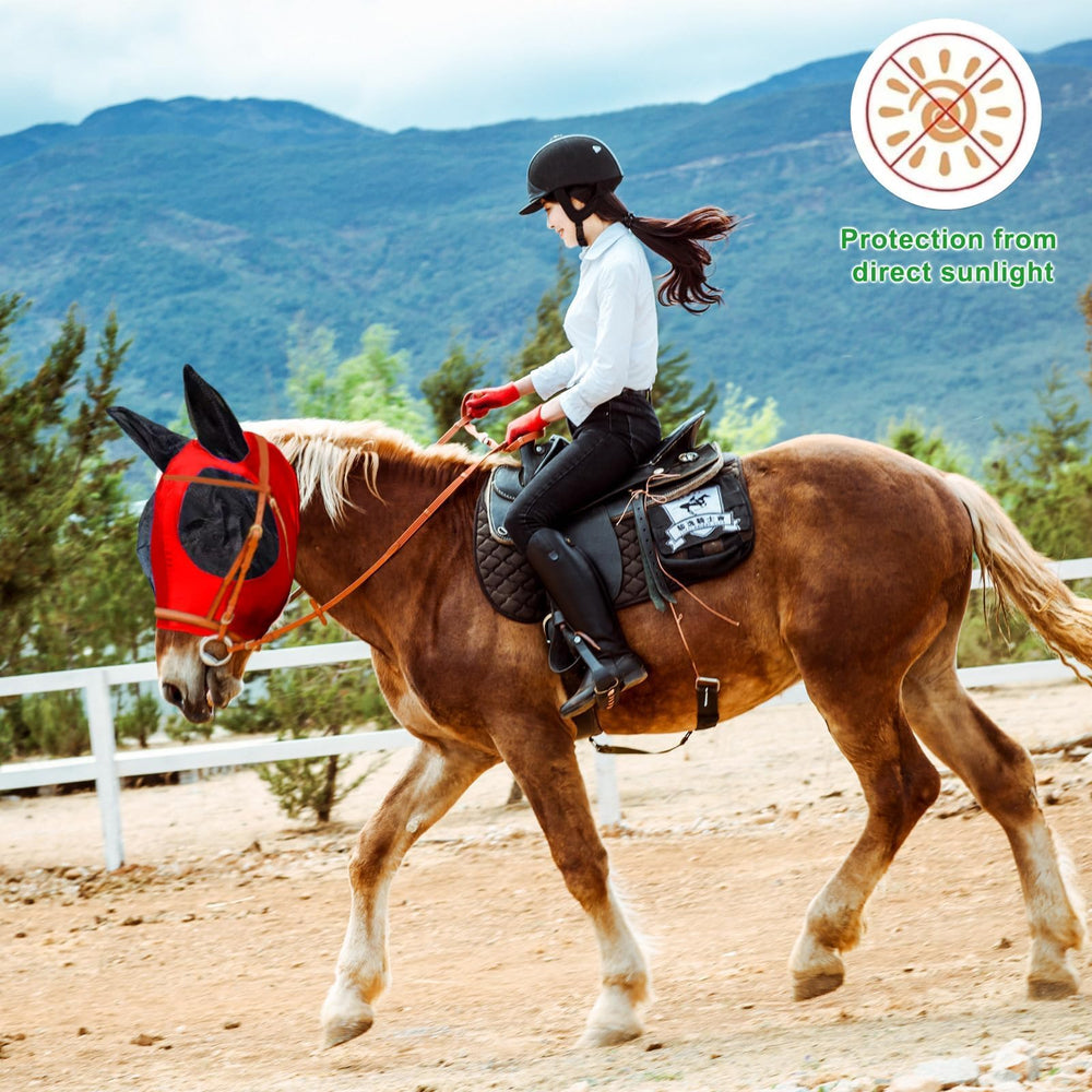 FOXLVDA upgraded size for medium to large horses, comfortable fit