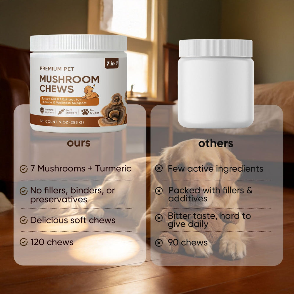 FQMUEV Turkey Tail dog chews support immune resilience through seasonal changes.