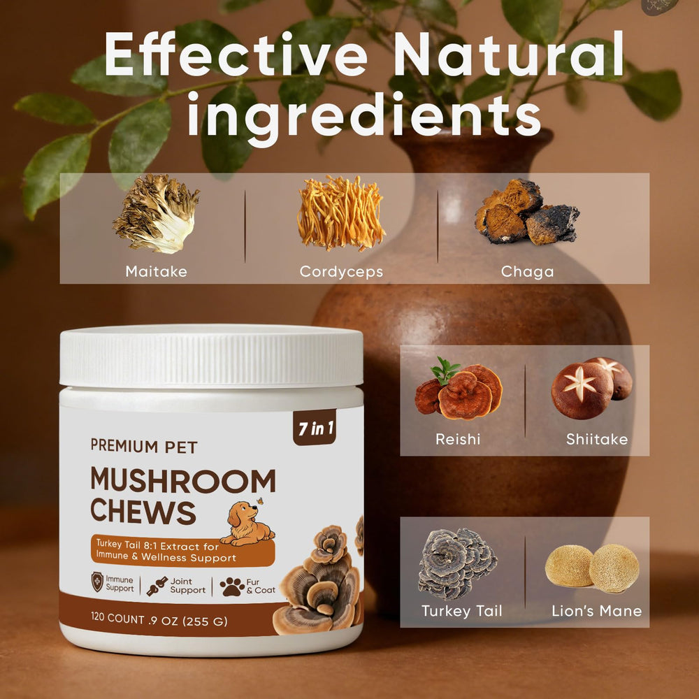 FQMUEV Turkey Tail dog chews aid joints and mobility.
