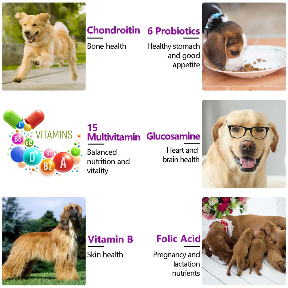 FRDUGA 500 million CFU per chew supports balanced gut flora