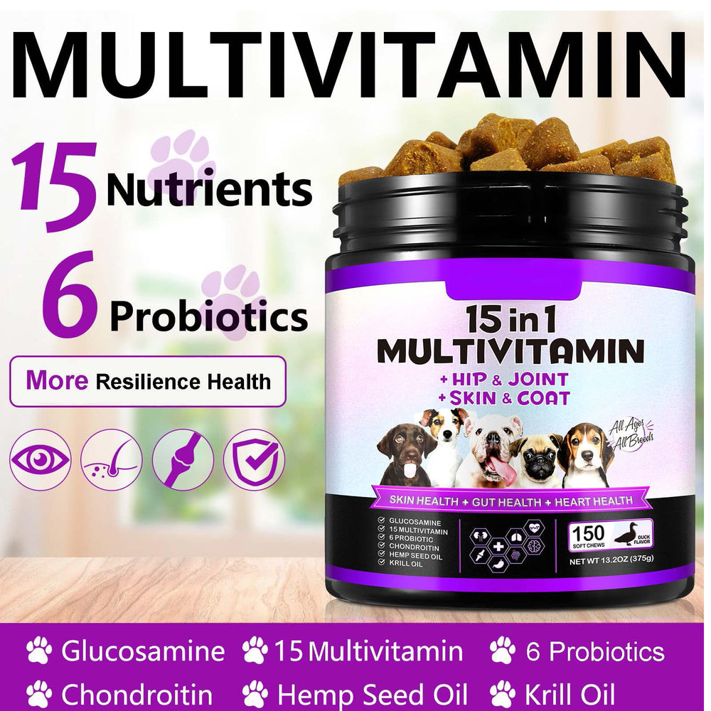 FRDUGA probiotic-rich chew aids gut health and digestion