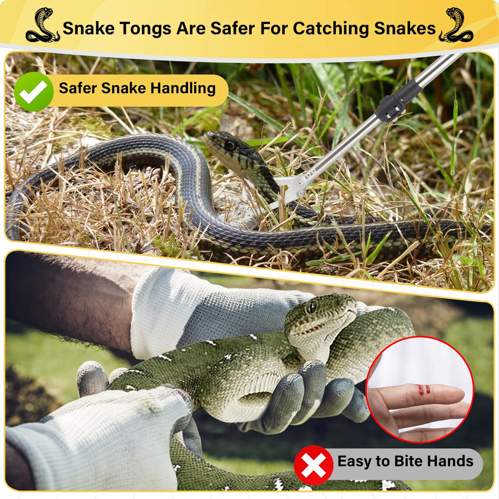 Frebuta suitable for feeding and removing reptiles with precision.