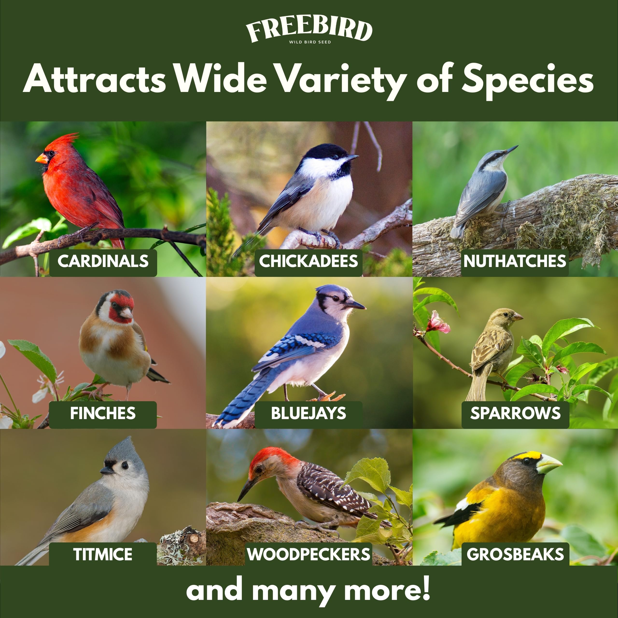 FREEBIRD Cardinal and finch-friendly seed mix supports year-round feeding