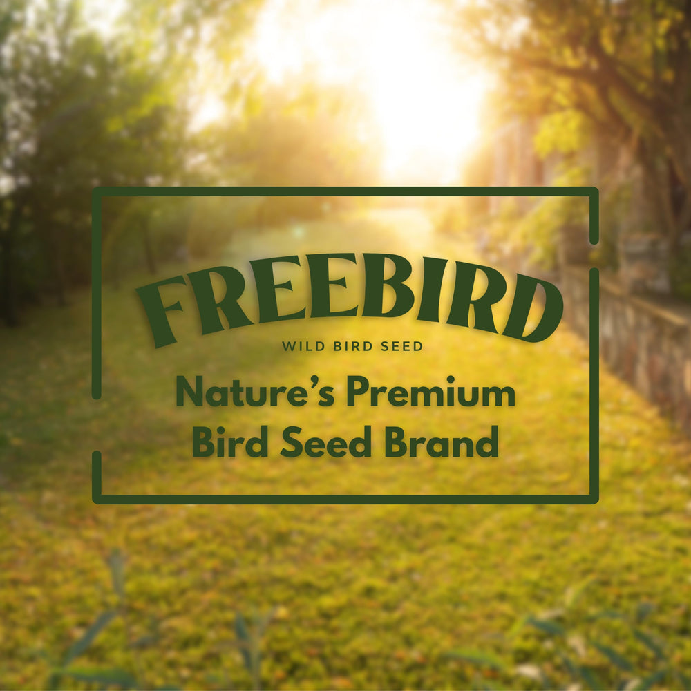 FREEBIRD Colorful birds flock to outdoor feeder with this seed blend