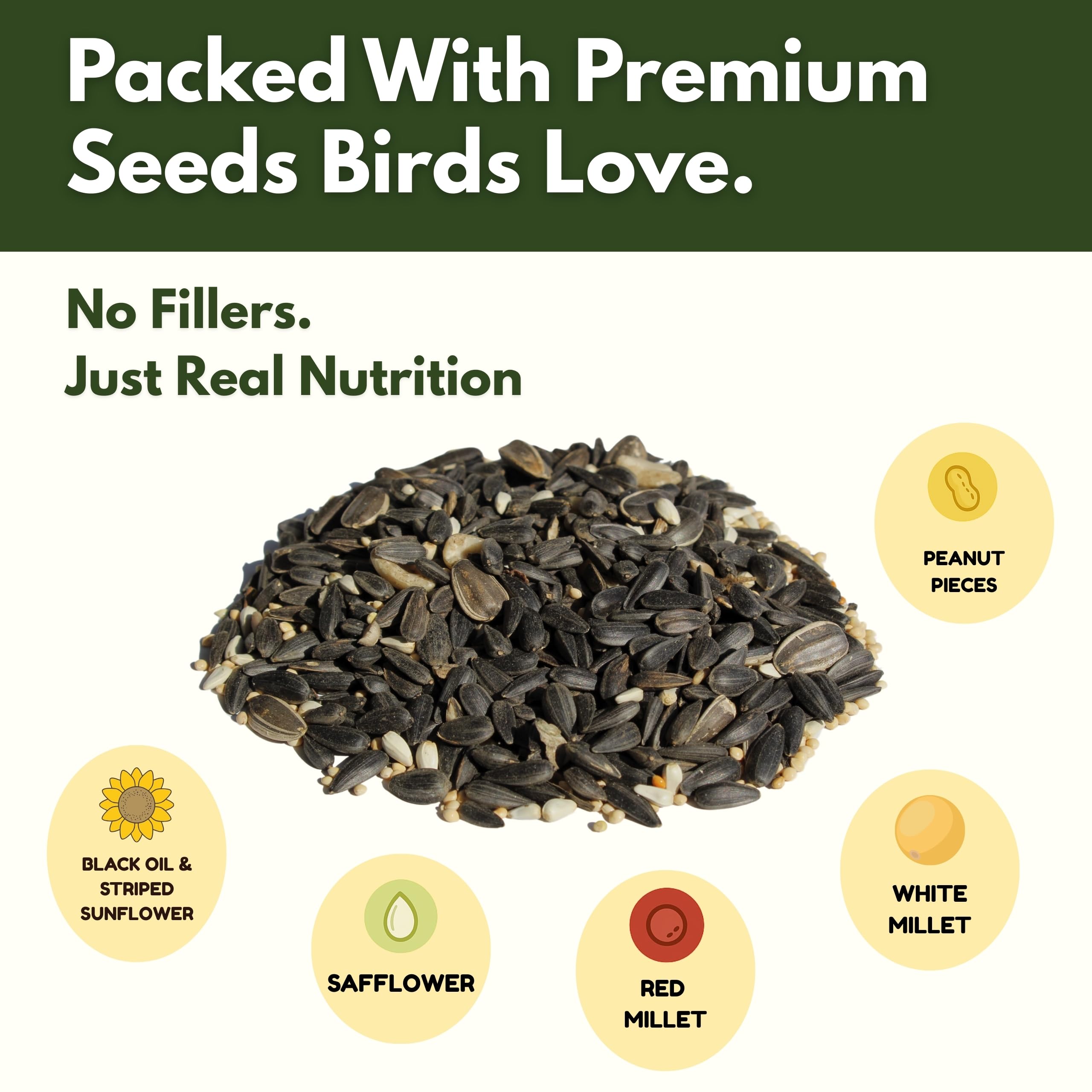 FREEBIRD Hopper feeder with seed blend attracts a variety of songbirds