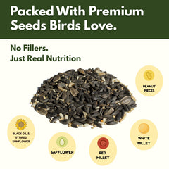 FREEBIRD Hopper feeder with seed blend attracts a variety of songbirds