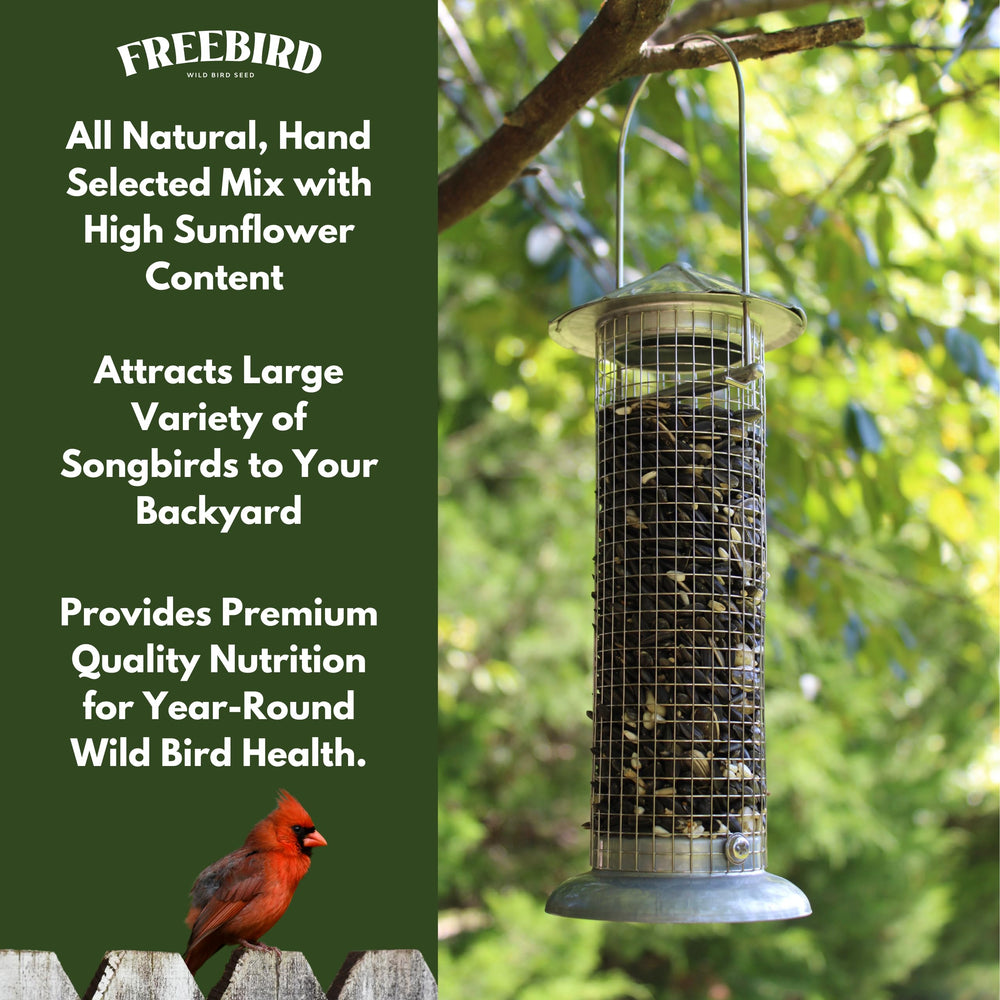 FREEBIRD Red millet and white millet entice winter birds to feed