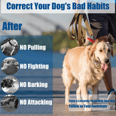 Freedom&Soul quick-release buckle collar displayed for easy on/off during walks