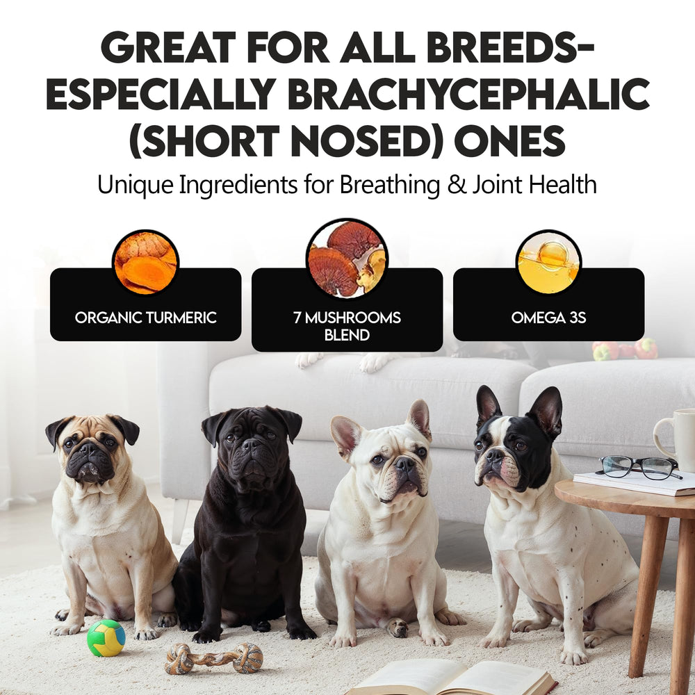 Frenchies vs Everybody easy daily use—no pills, just sprinkle over meals