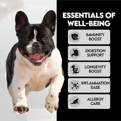 Frenchies vs Everybody mixing mushroom powder into a bowl for picky eaters and fur health