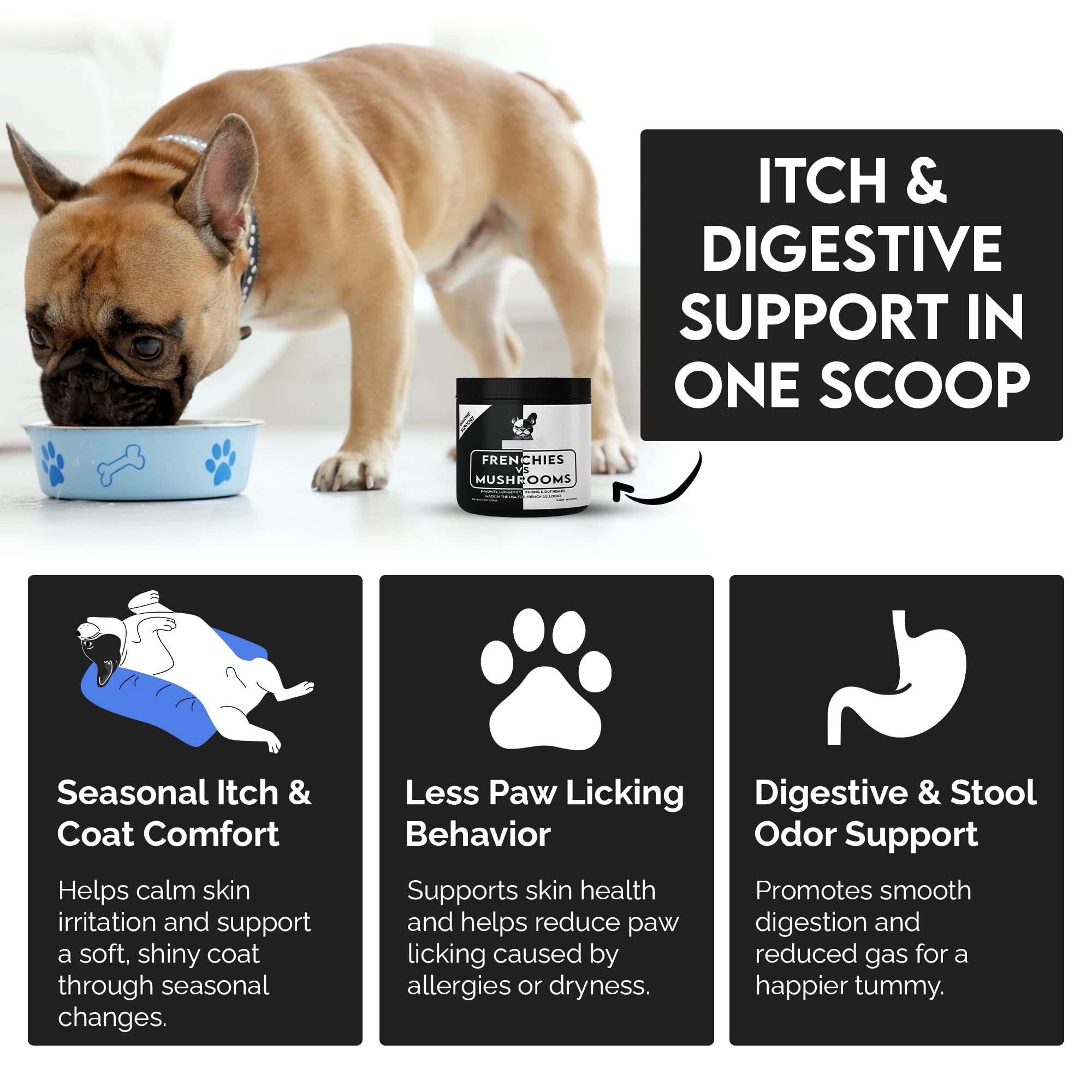 Frenchies vs Everybody scooping powder onto dog food for tastier meals and smoother digestion