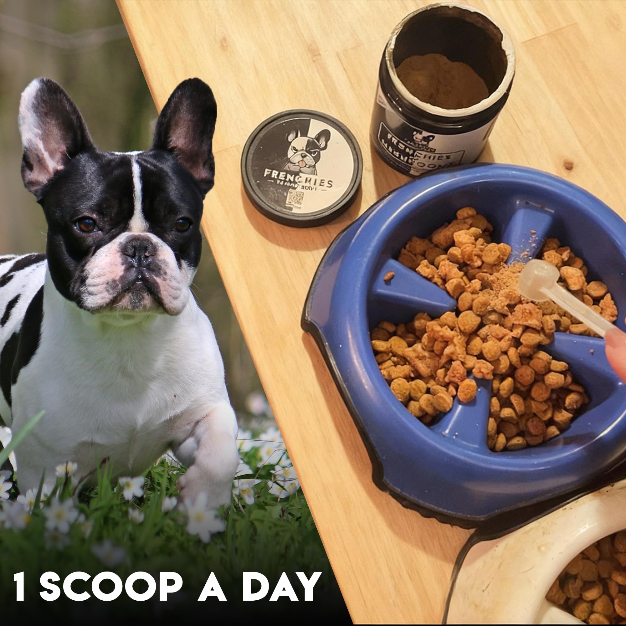Frenchies vs Everybody energy-boosting mushroom formula for active dogs