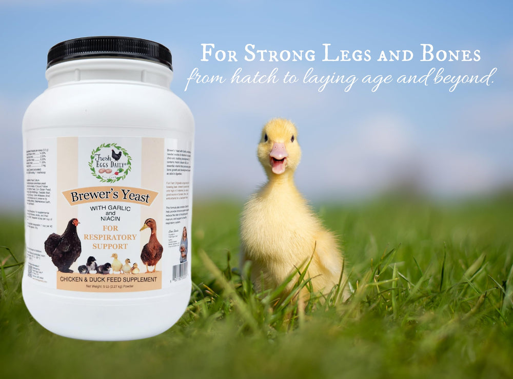 Fresh Eggs Daily brewers yeast ingredients-label closeup highlights garlic and niacin.