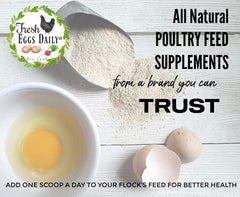 Fresh Eggs Daily brewers yeast niacin-bottle closeup emphasizes vitamin B3 for birds.