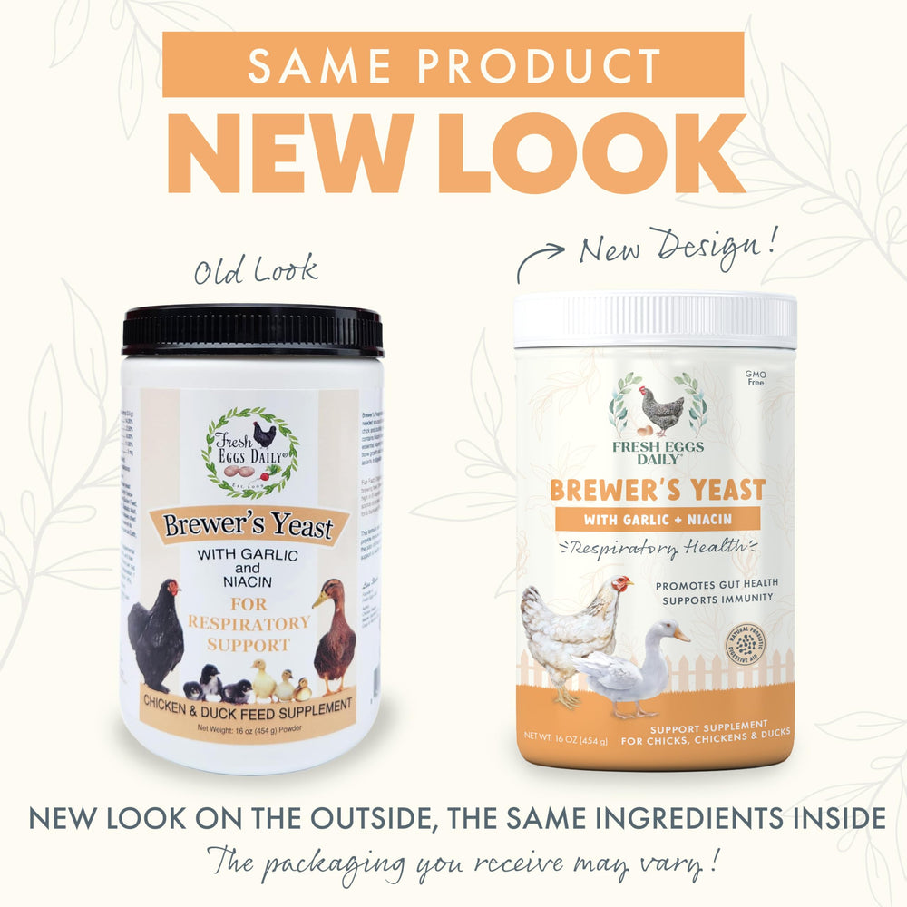 Fresh Eggs Daily Brewers Yeast Powder chick feeding supports growing chicks