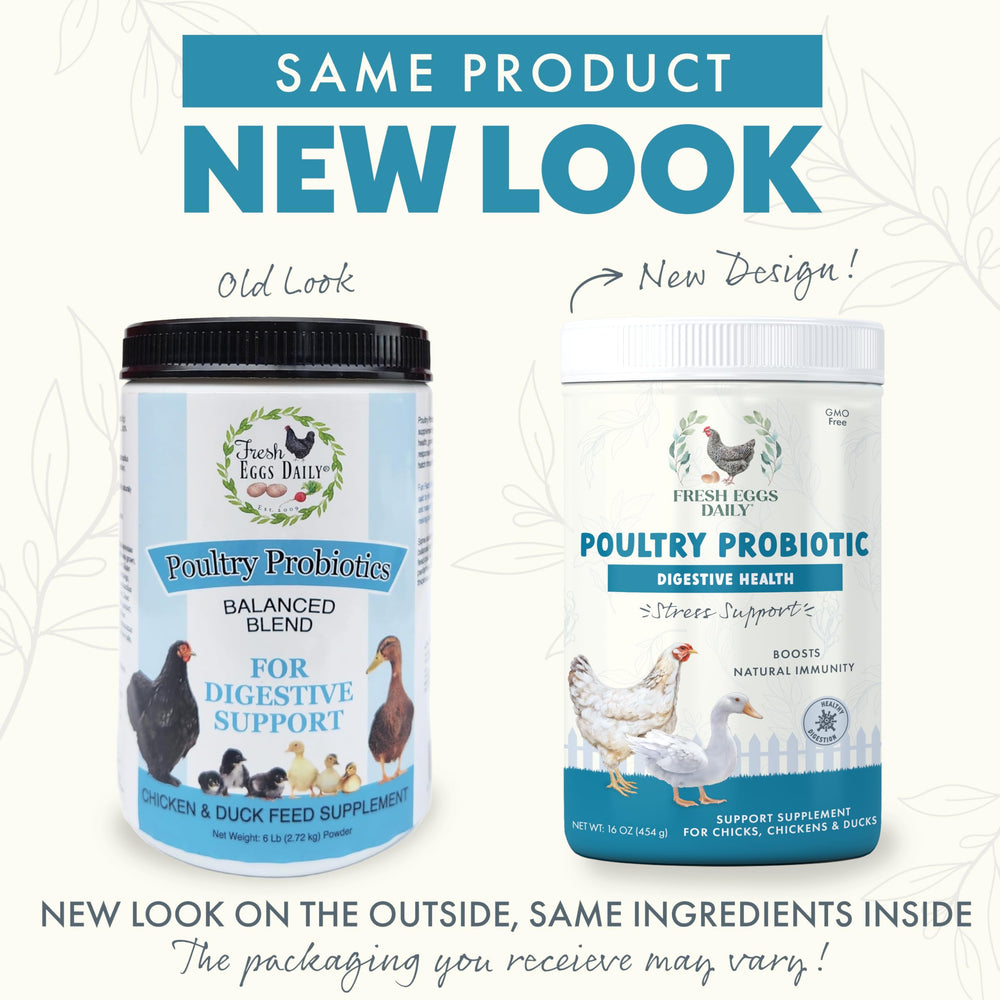 Fresh Eggs Daily Poultry Probiotics mixed into feed for healthier digestion.