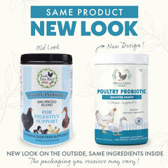 Fresh Eggs Daily Poultry Probiotics mixed into feed for healthier digestion.