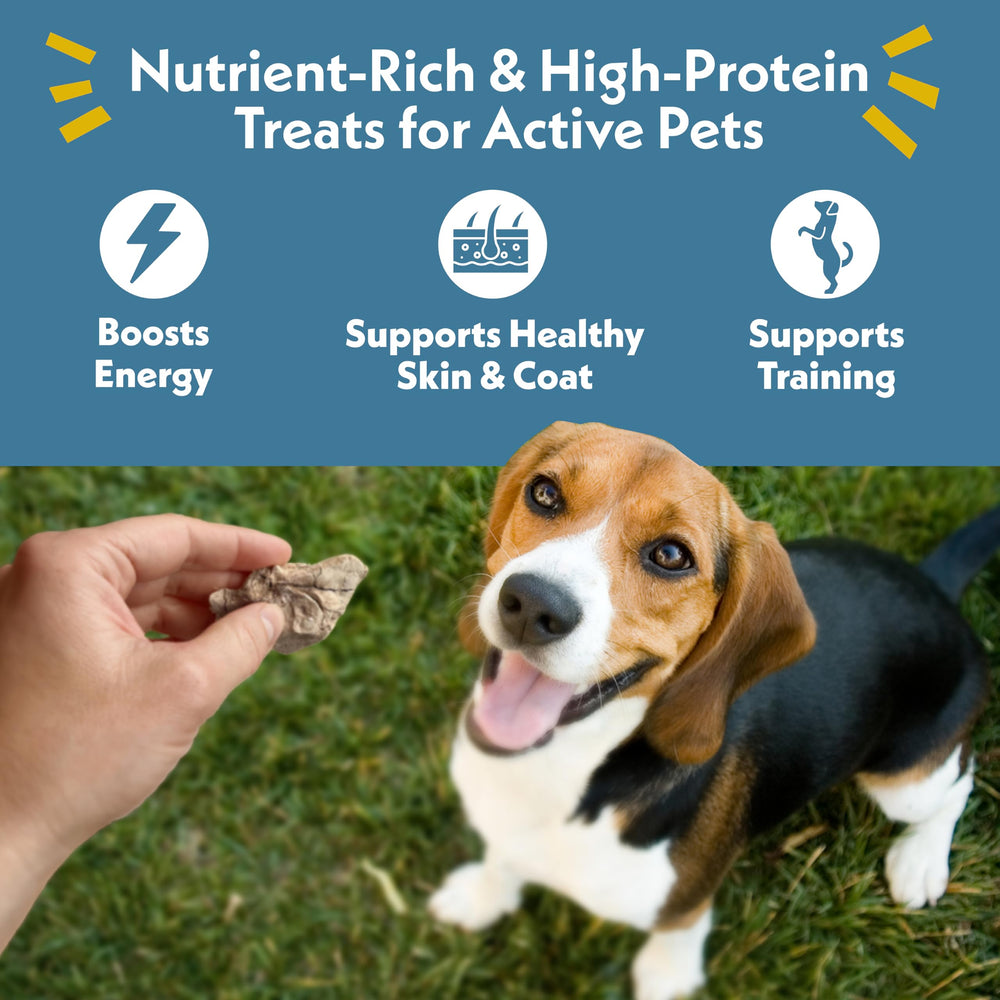 Fresh Is Best duck liver freeze-dried treats in sealed bag preserves freshness and nutrients for pets.
