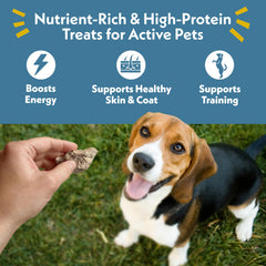 Fresh Is Best duck liver freeze-dried treats in sealed bag preserves freshness and nutrients for pets.