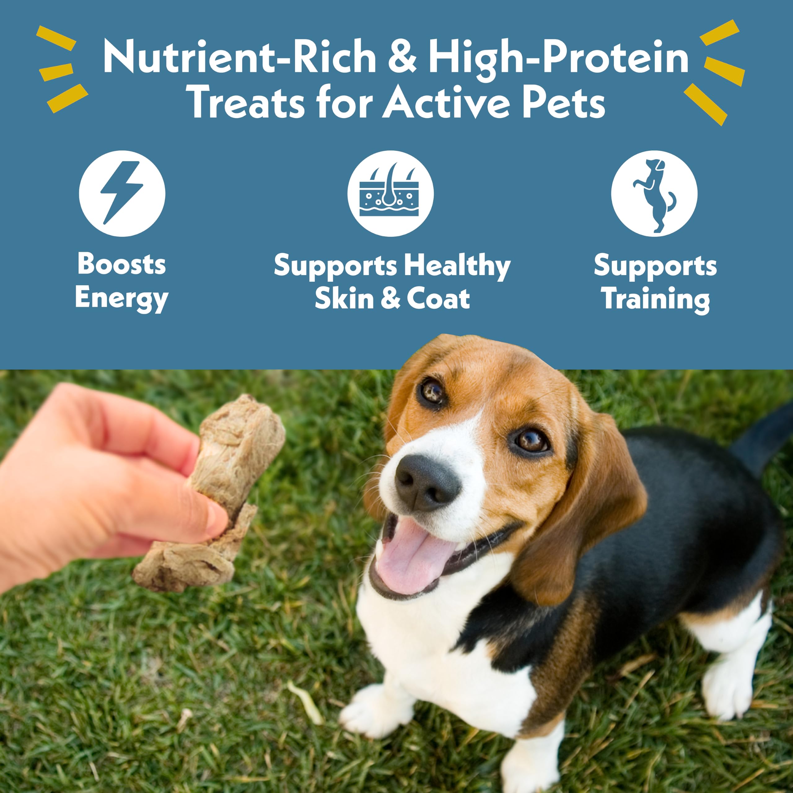 Close view of freeze-dried chicken necks for a crunchy, protein-packed bite.