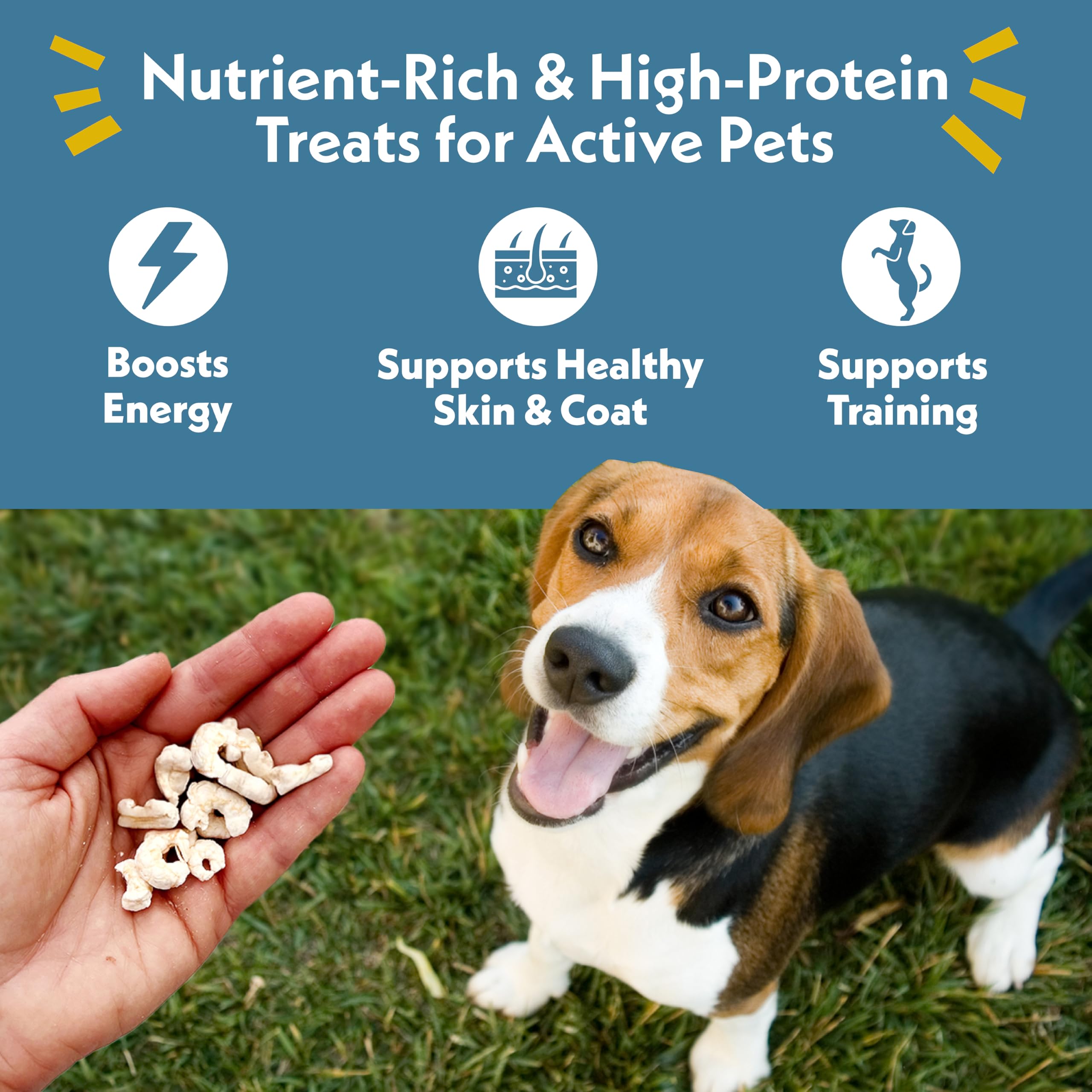 Fresh Is Best freeze-dried shrimp snack preserves nutrients for active pets.