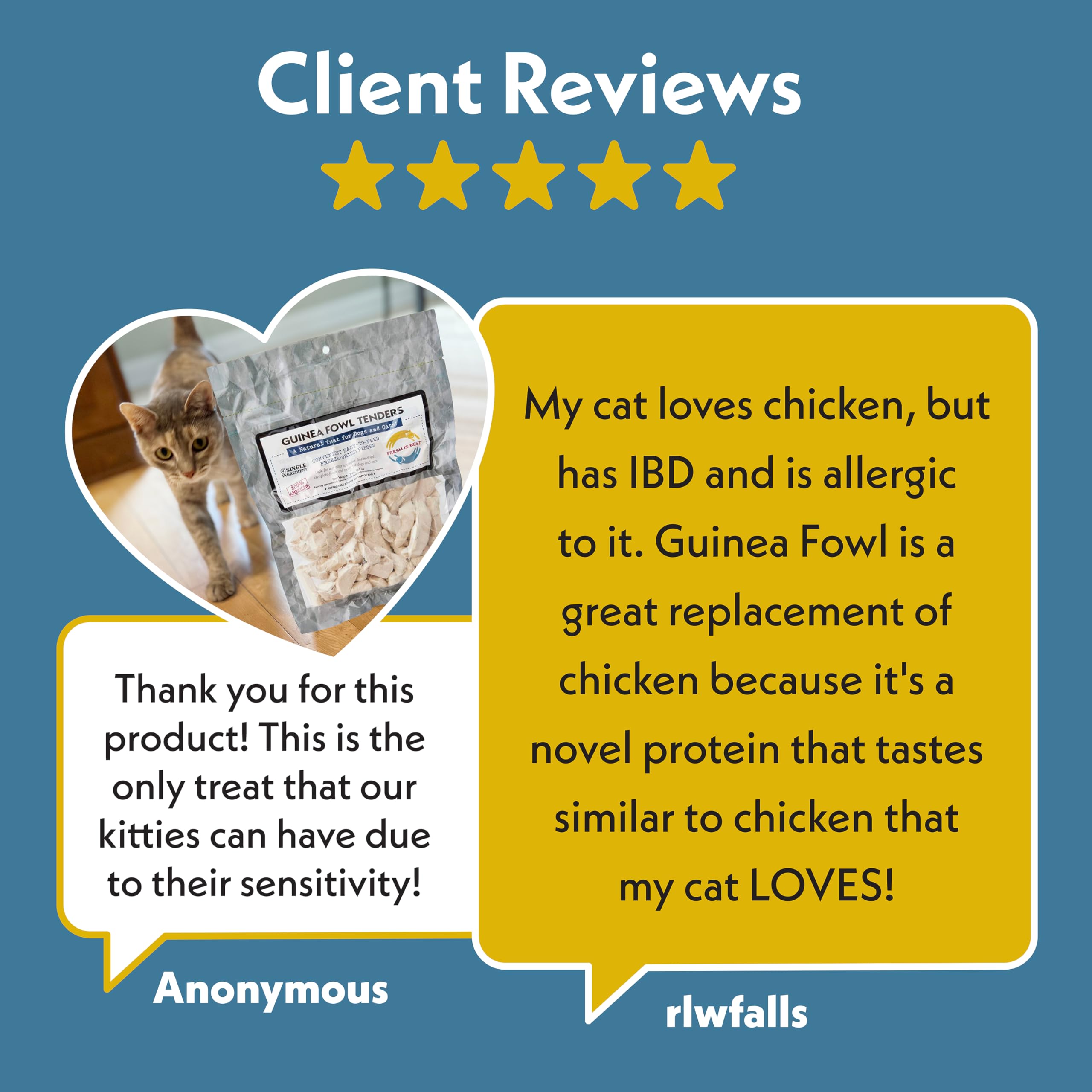 Fresh Is Best Guinea Fowl Tenders dog and cat plates show serving versatility.