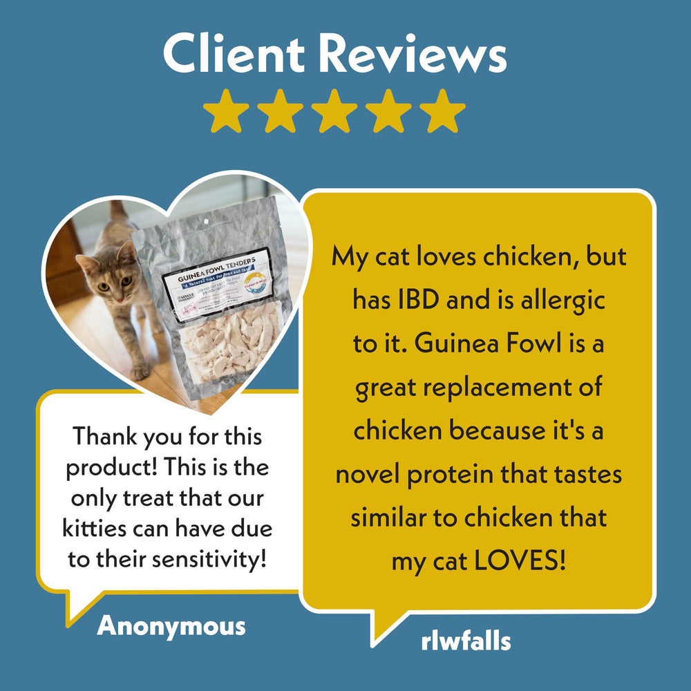 Fresh Is Best Guinea Fowl Tenders dog and cat plates show serving versatility.