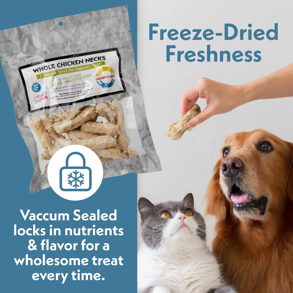 Serving a bowl of Fresh Is Best treats for dogs and cats.