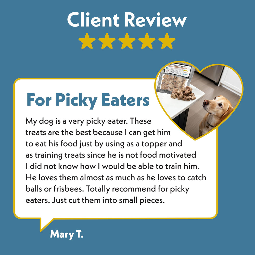 Pets enjoy Fresh Is Best treats as a tasty training reward.